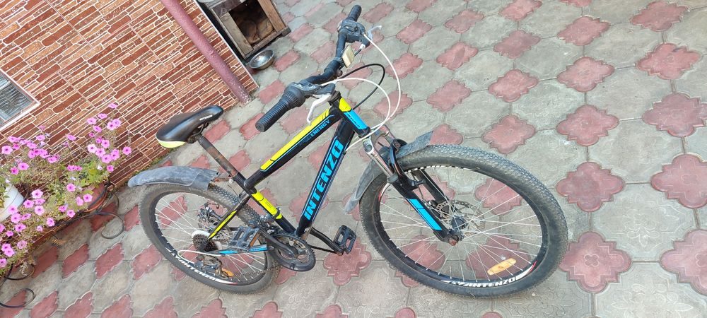 Велосипед Intenzo 24