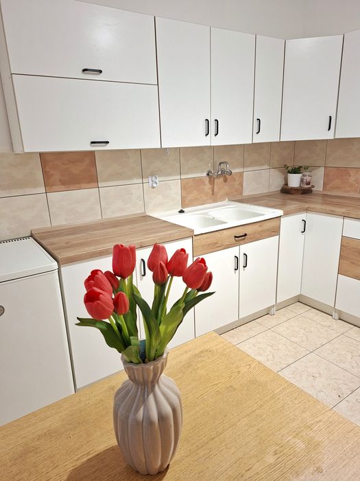 Dom na wynajem idealny dla Ciebie Mnikòw gmina Liszki