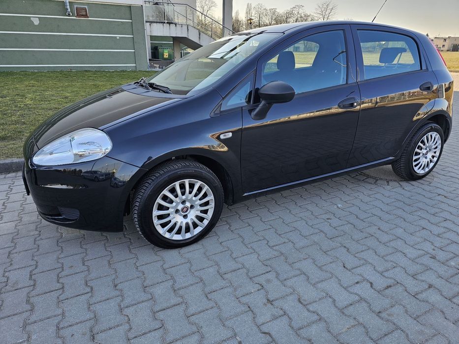 Zadbany egzemplarz  .