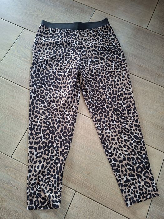 Spodnie panterka rozm 16
