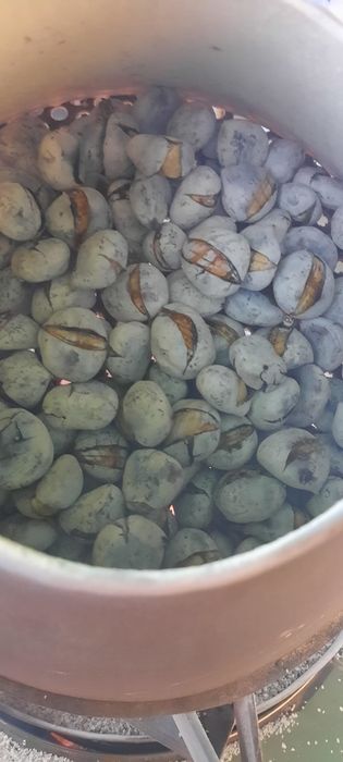 Assadora de Castanhas Assadas