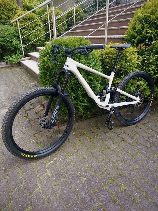 Rower Specialized Enduro Elite 2020