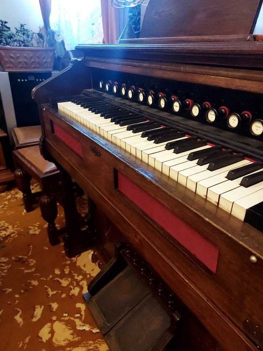 Fisharmonia 13 registrów.