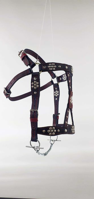 Уздечка на коня,капейстра