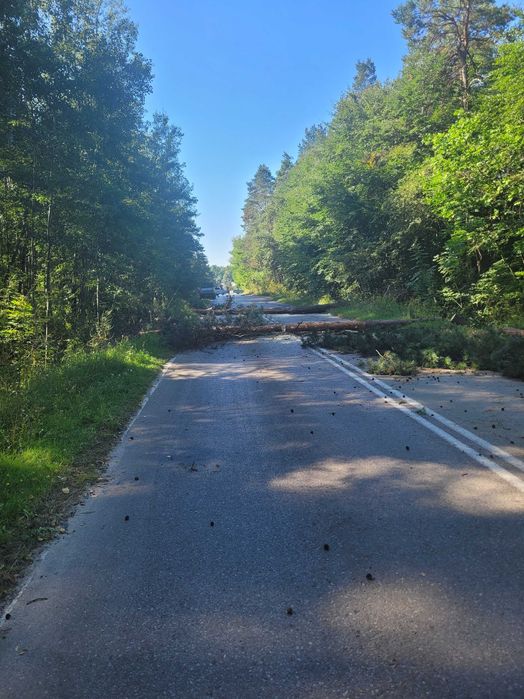 Wycinka Trudnych drzew , karczowanie działek , zrębkowanie gałęzi .