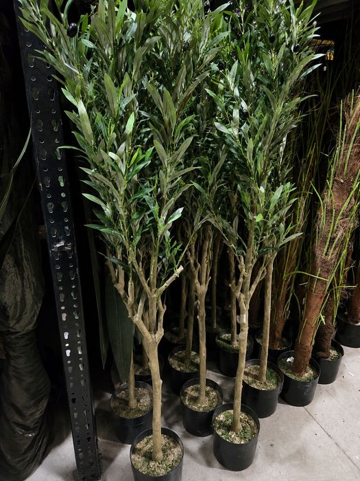 Oliveiras lindissimas 170 cm para decorações