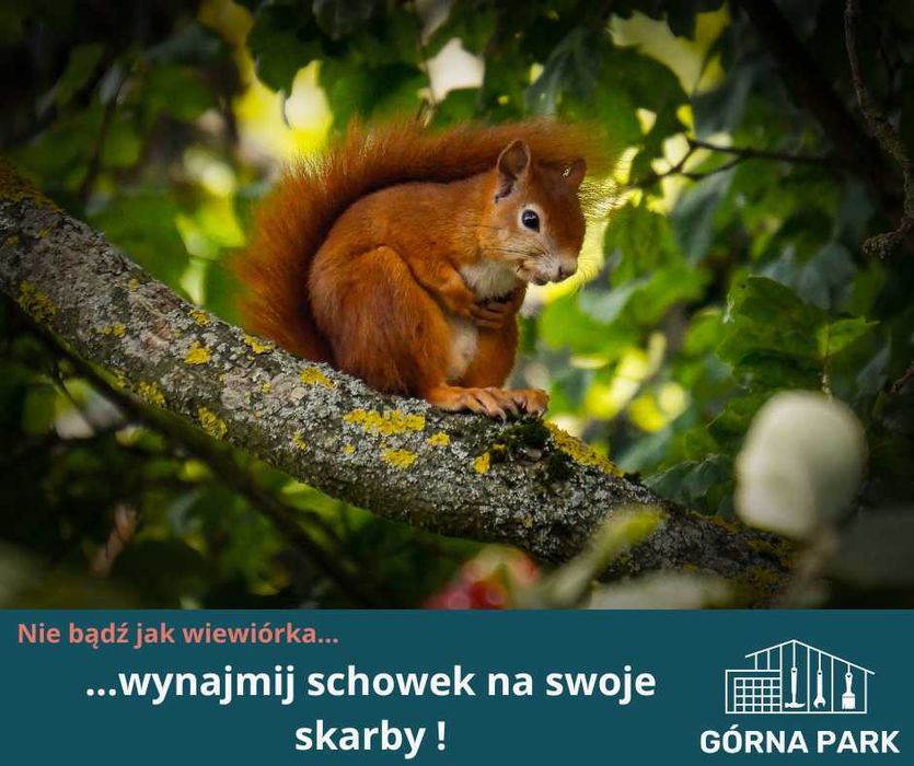 Schowek magazynowy, garaż na wynajem Biała Podlaska