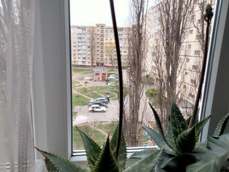 Продам гривну. В хорошем состоянии