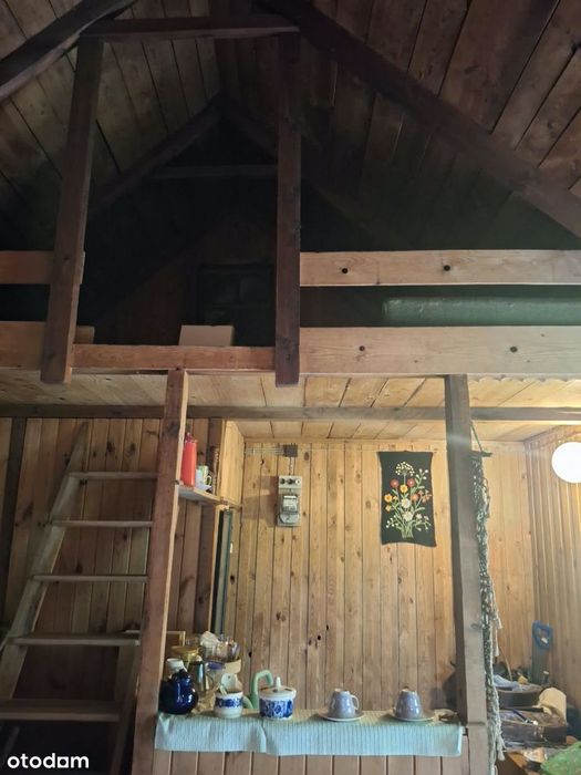 Działka ROD Kaczeniec Ząbki 300 m²