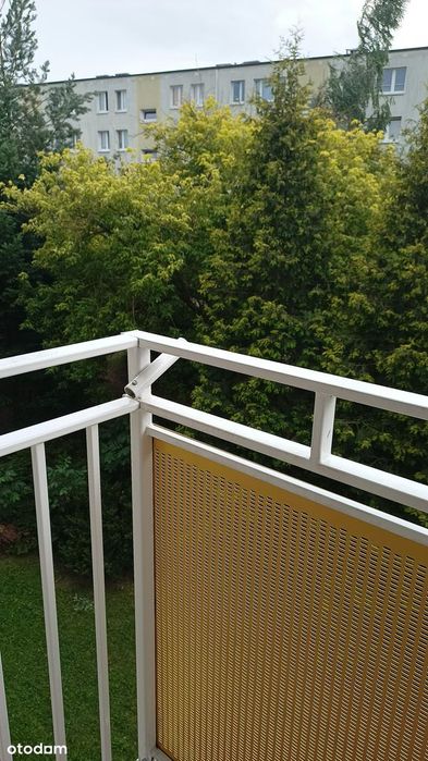 os. Pod Lipami | 3-pokojowe | 2. piętro | bez pośrednika