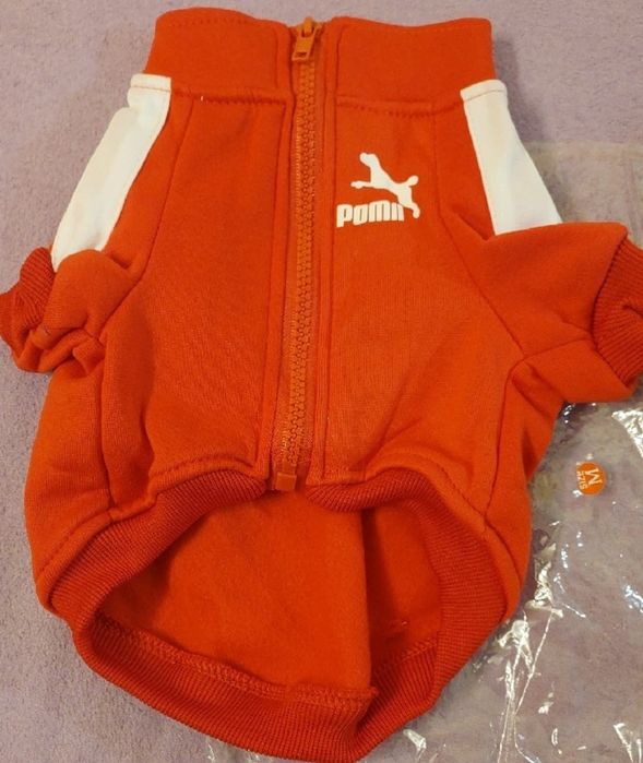 Ubranka bluzy, sweterki dla pupili.