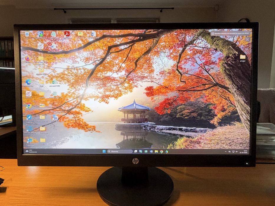 Monitor HP V22v