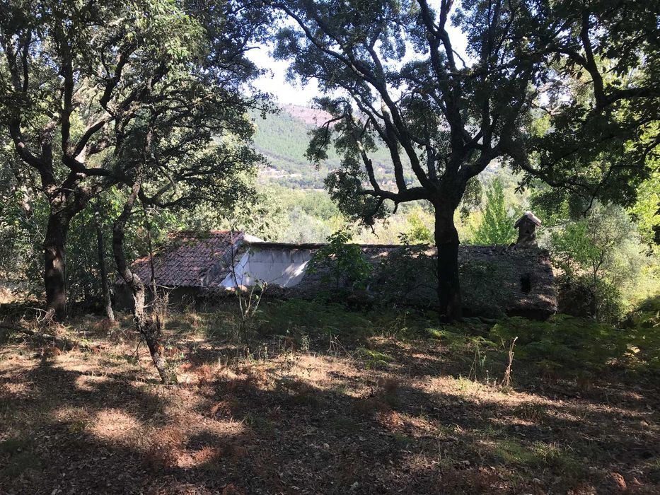 Quinta em São Salvador da Aramenha Marvão Portalegre Alto Alentejo