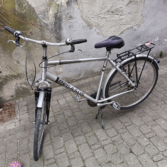 Rower Pegasus 28"
