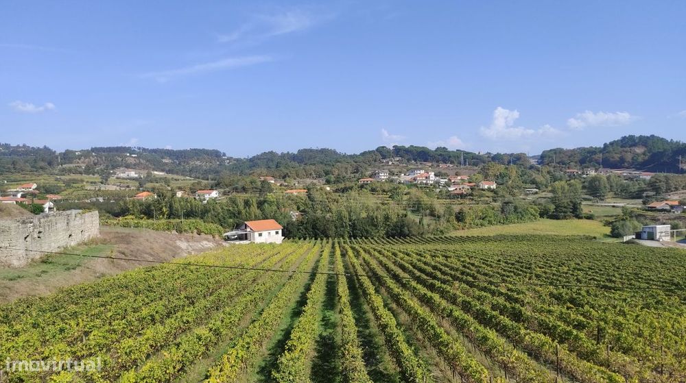 Terreno Urbano  Venda em Telões,Amarante
