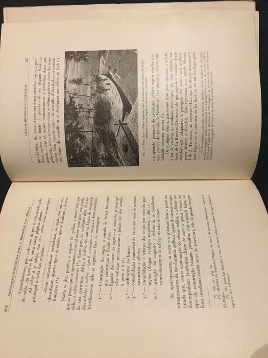 Reconhecimento de Portugal pela Santa Sé/ Arqueologia. Hist. Medieval