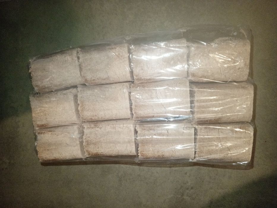 Brykiet drzewny 10kg