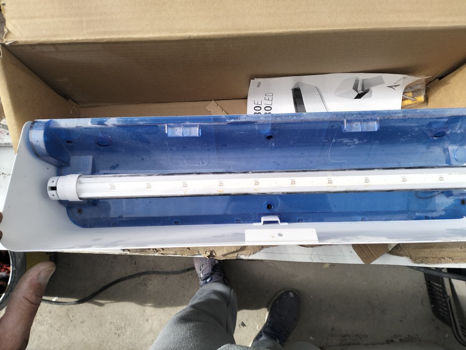 Armadilha de insetos