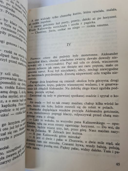 Magnat - Maria Rodziewiczówna