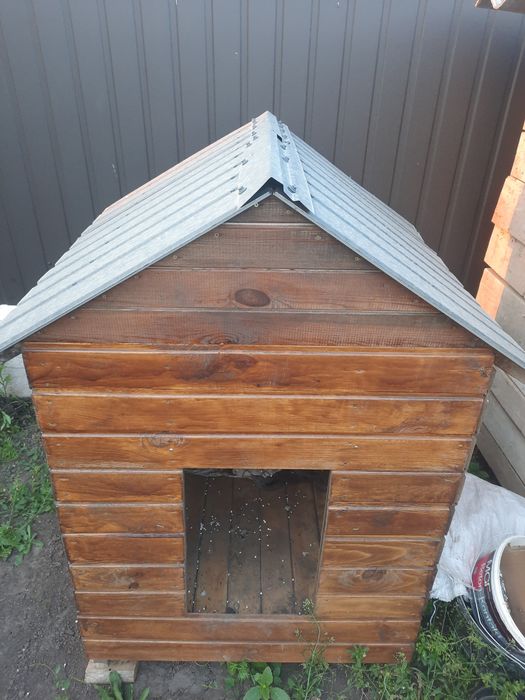 Продам буду для собаки