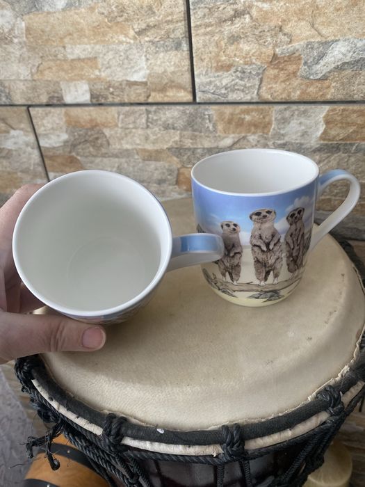 Kawa herbata Leonardo