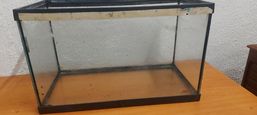 Terrario ou aquário de paisagismo