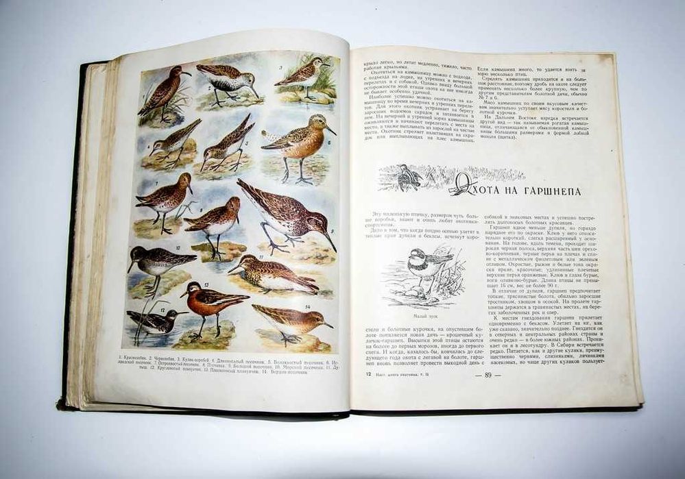 Настольная книга охотника-спортсмена. Том II. 1956