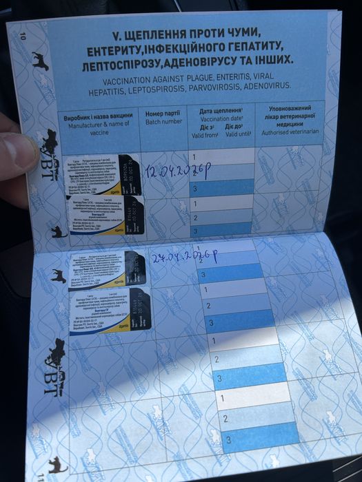 Лайка ЗСЛ з документами