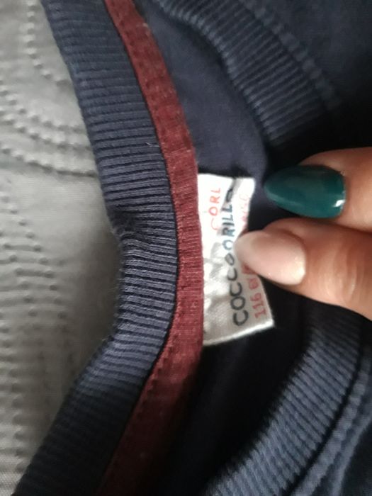 Bluzka Coccodrillo 116