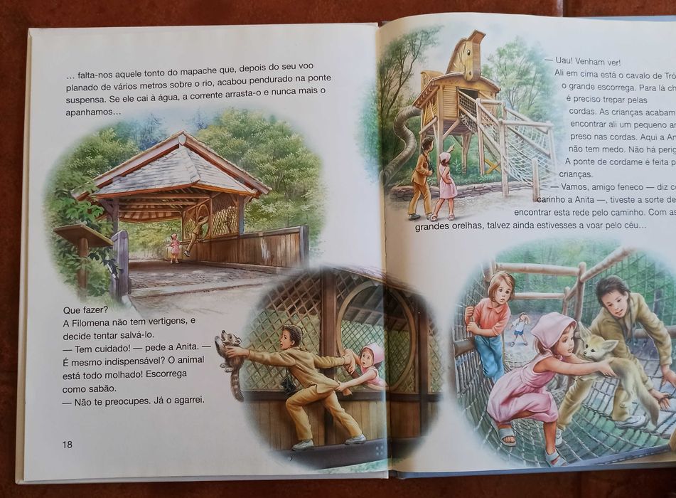 Livro da Anita - Anita e a arca de Noé - Martine - Livro novo