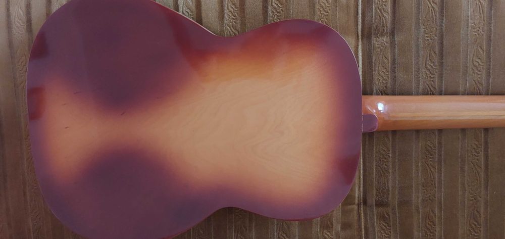 Gitara akustyczna Delfin