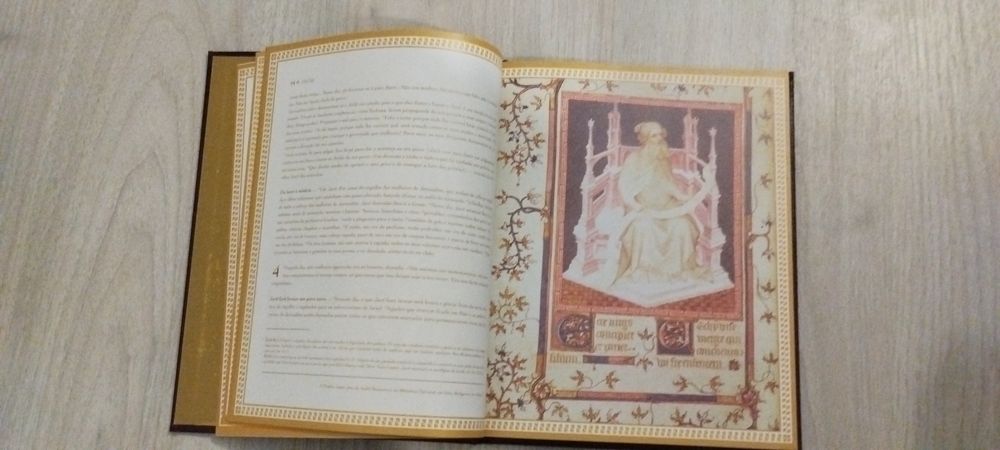 Bíblia Sagrada Ilustrada - Editora Paulus