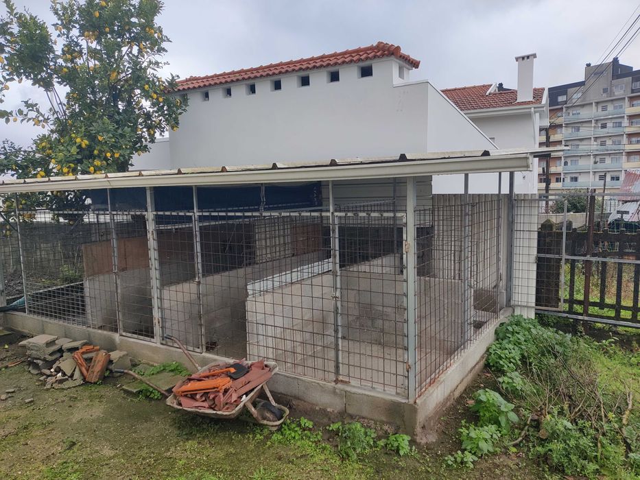 Canil Exterior Grande (3x6m) - Estrutura Metálica com Base Cimento