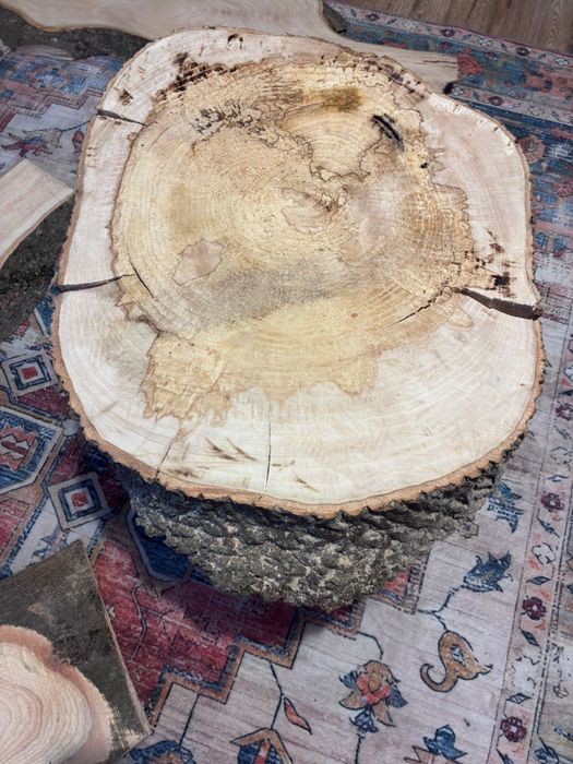 Sprzedam plaster jesiona