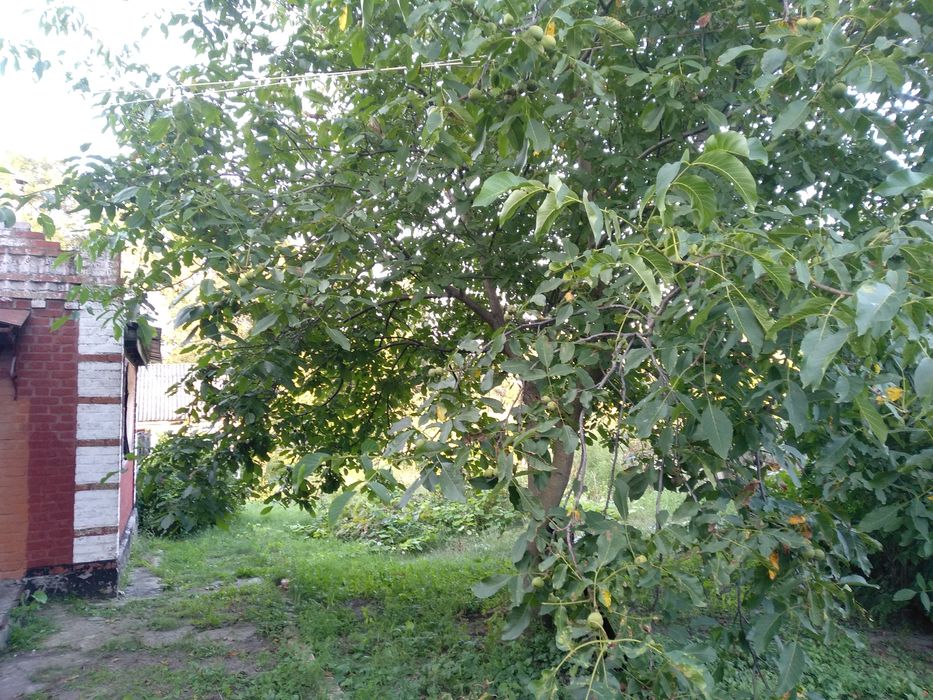 Дом под Ваш ремонт