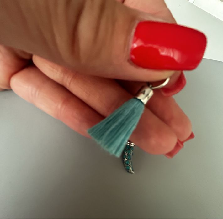 Pandora charms srebro