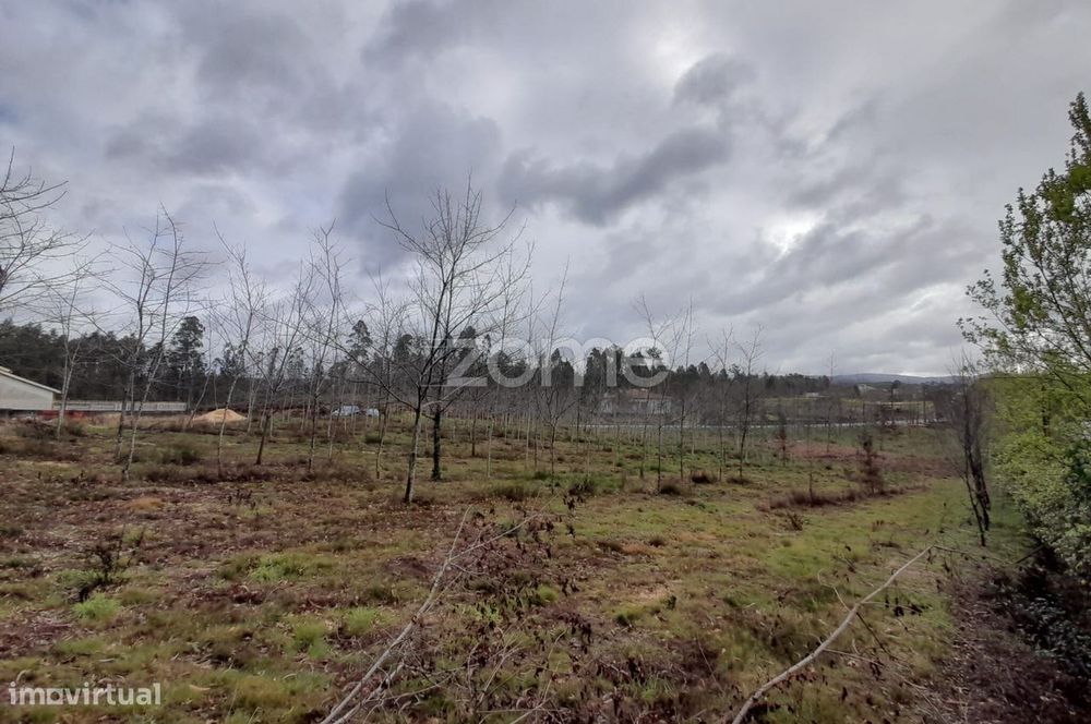 Terreno para construção com 5400m2
