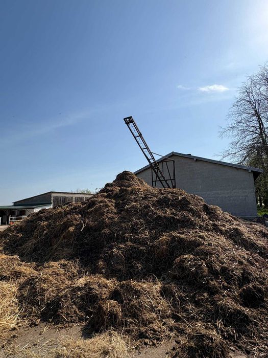 Obornik koński oddam za darmo. Duża ilość.