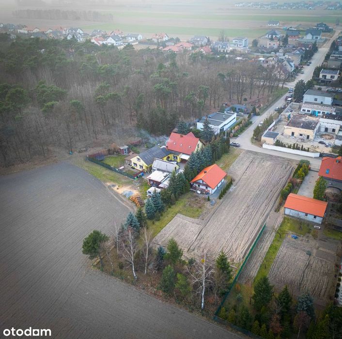 Atrakcyjna działka budowlana 2253m² z pozwoleniem, bud. gosp., Dopiewo - Widok 4