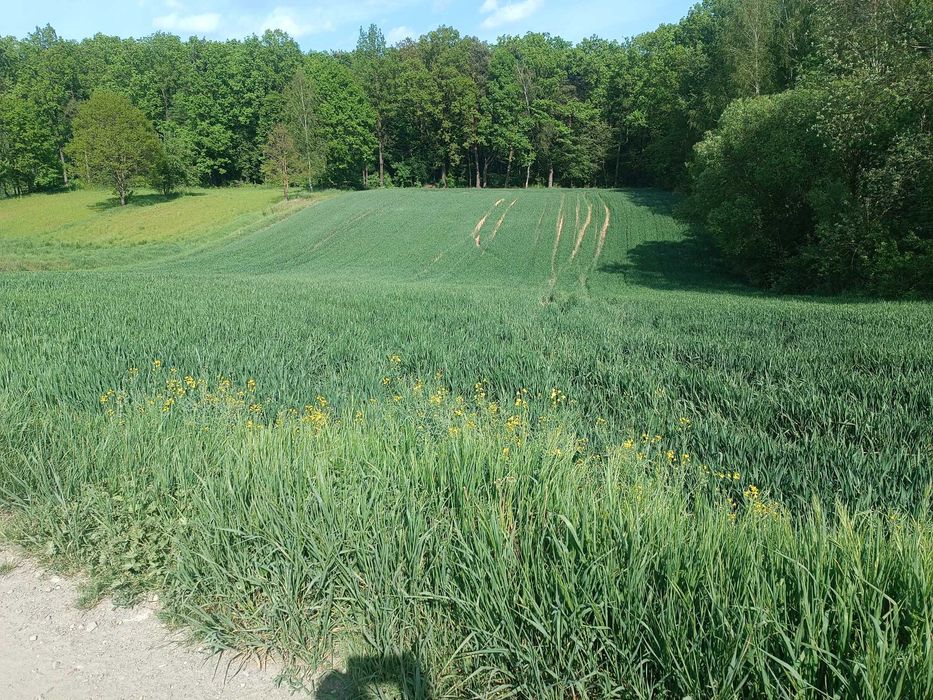 Działka budowlana