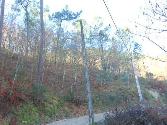 Venda de terreno Gerês perfeito para quem procura paz e tranquilidade.