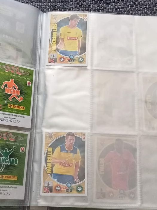 Caderneta/ capa arquivadora Adrenalin XL 14/15 com cards