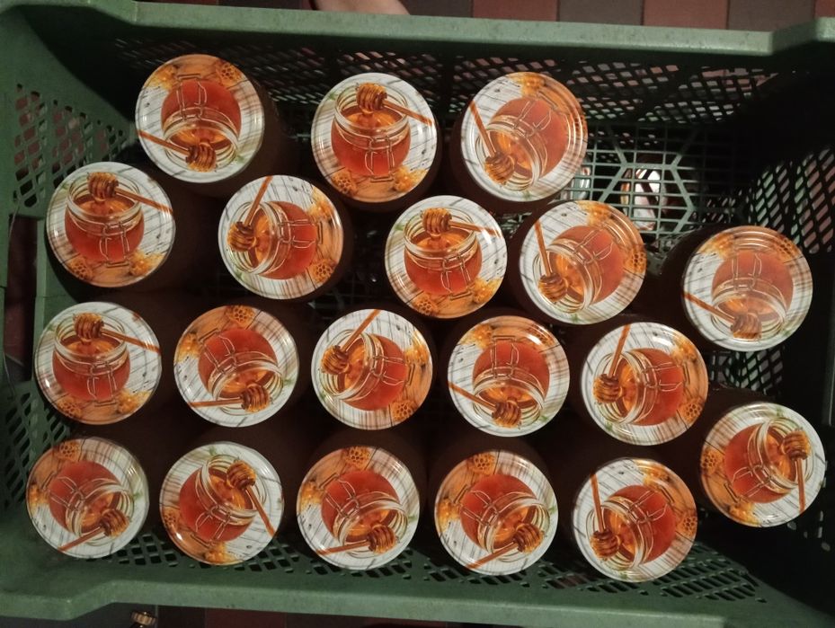 Miód wielokwiatowy