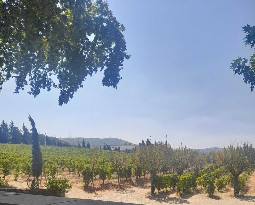 PORTO • BRAGA • DOURO • SANTIAGO | TOUR PRIVADO