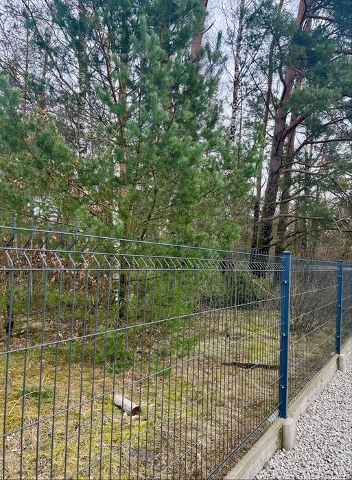 Ogrodzenia panelowe 99zl/mb z montażem