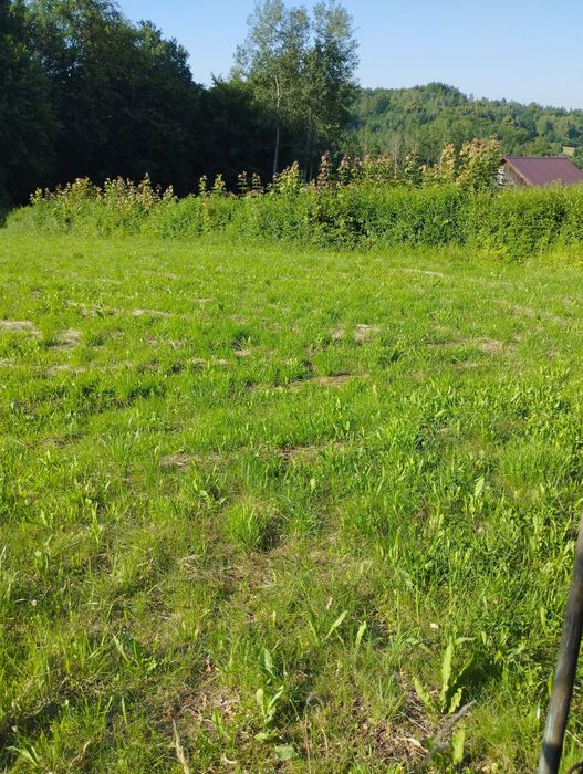 Działka budowlana z domkiem letniskowym - Widok 3