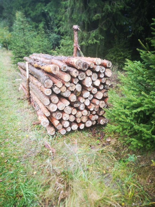 Solidne stemple budowlane sosnowe i dębowe 300cm, dostępne też dłuższe