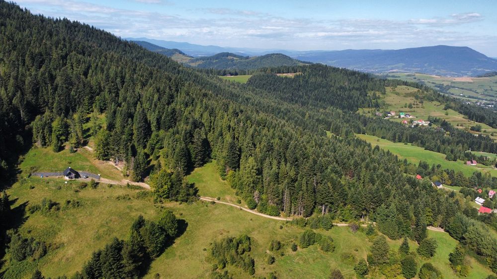 Domek w zaciszu leśnym Koninki