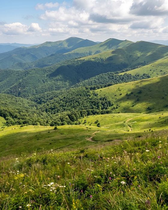 Житло в Карпатах гори Пилипець Синевір