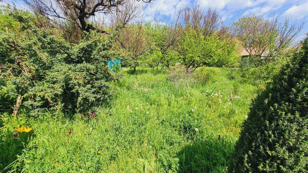 Продам БУДИНОК  в с. ЧИКАЛІВКА під ДАЧУ. 13000